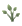 Plants Plants
